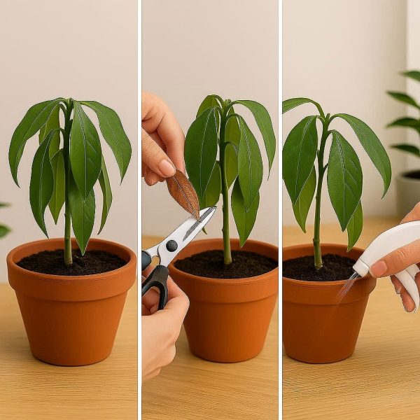 How to Revive a Dying Plant: Step-by-Step Guide